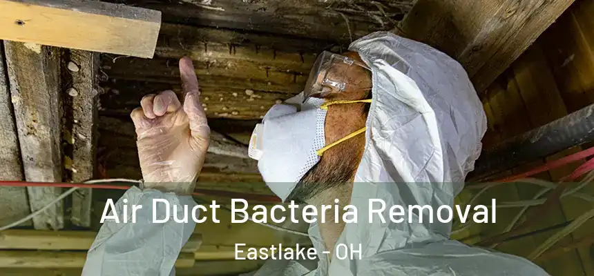 Air Duct Bacteria Removal Eastlake - OH