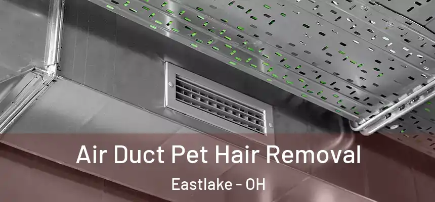  Air Duct Pet Hair Removal Eastlake - OH