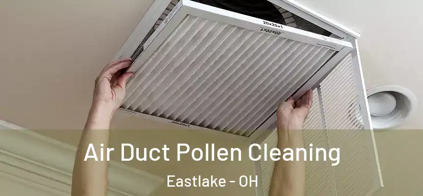  Air Duct Pollen Cleaning Eastlake - OH