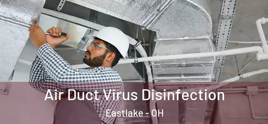  Air Duct Virus Disinfection Eastlake - OH