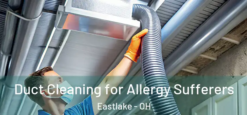  Duct Cleaning for Allergy Sufferers Eastlake - OH