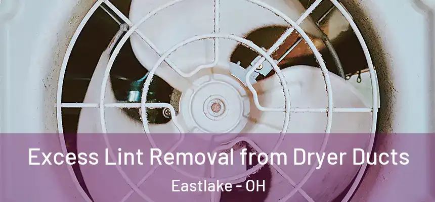  Excess Lint Removal from Dryer Ducts Eastlake - OH
