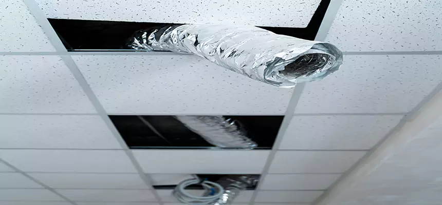 Affordable HVAC Sanitizing After Pest Removal in Eastlake