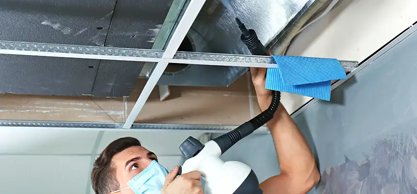Our Air Duct Rodent Removal Services in Eastlake, OH