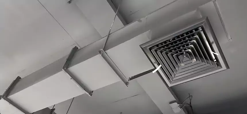 Our Rodent Droppings In Vents Services in Eastlake, OH