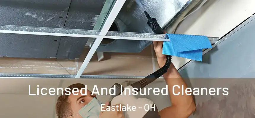  Licensed And Insured Cleaners Eastlake - OH