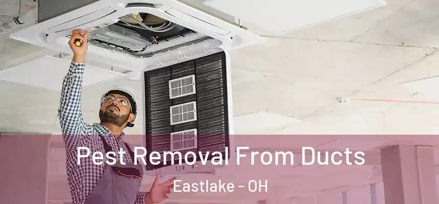  Pest Removal From Ducts Eastlake - OH