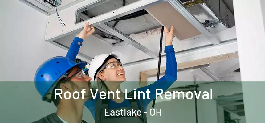  Roof Vent Lint Removal Eastlake - OH