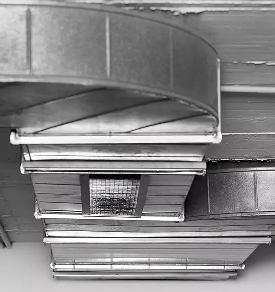 Professional Air Duct Pest Removal in Eastlake, OH