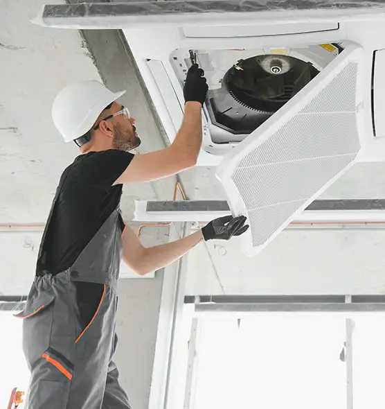 About Air Duct Rodent Removal in Eastlake, OH