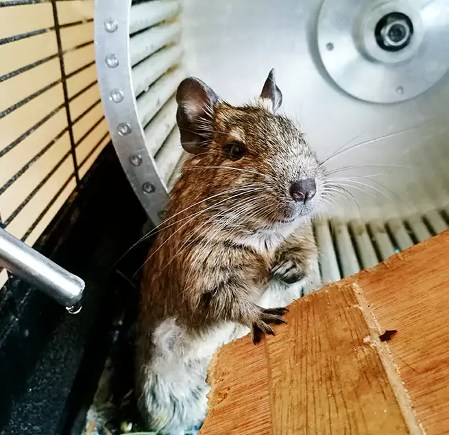 Why Homeowners & Businesses Trust Us Eastlake, OH?