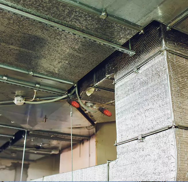 Why Homeowners & Businesses Trust Us Eastlake, OH?