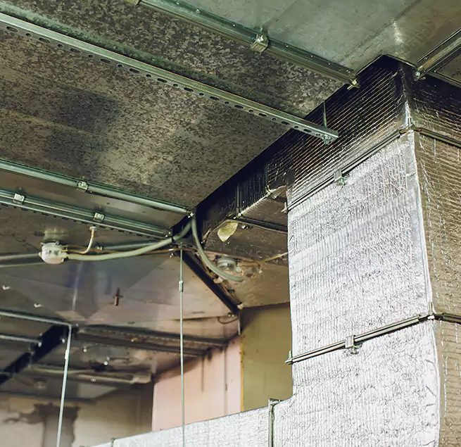 Why Homeowners & Businesses Trust Us in Eastlake, OH?